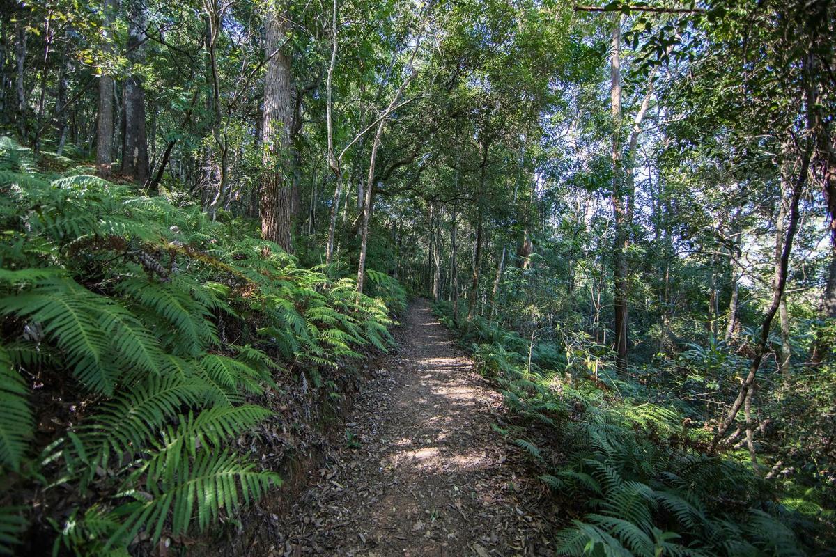 The track is surrounded by so much natural beauty