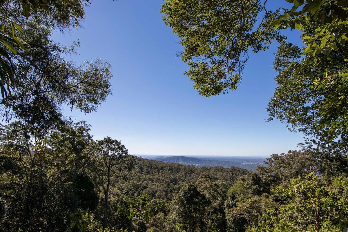 Gorgeous views of Samford from Thylogale Track