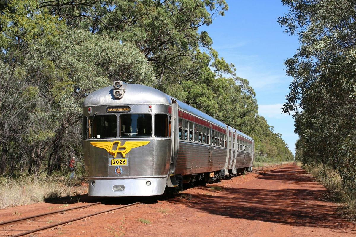 The Savannahlander on the Newcastle Range