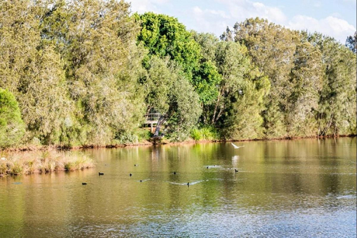 Toowoomba Waterbird Habitiat