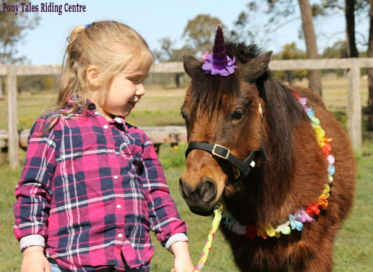 Pony rides