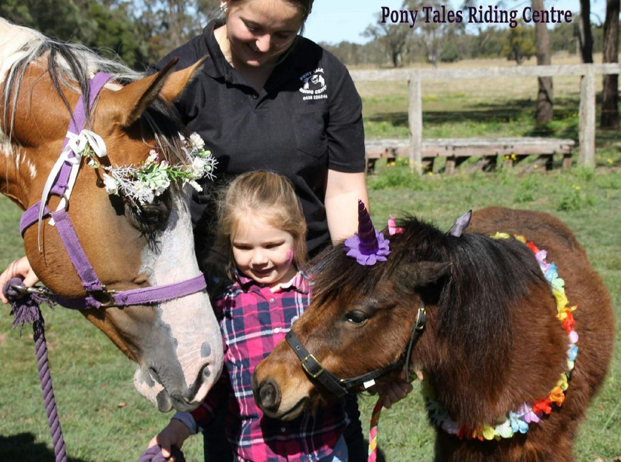 Pony rides