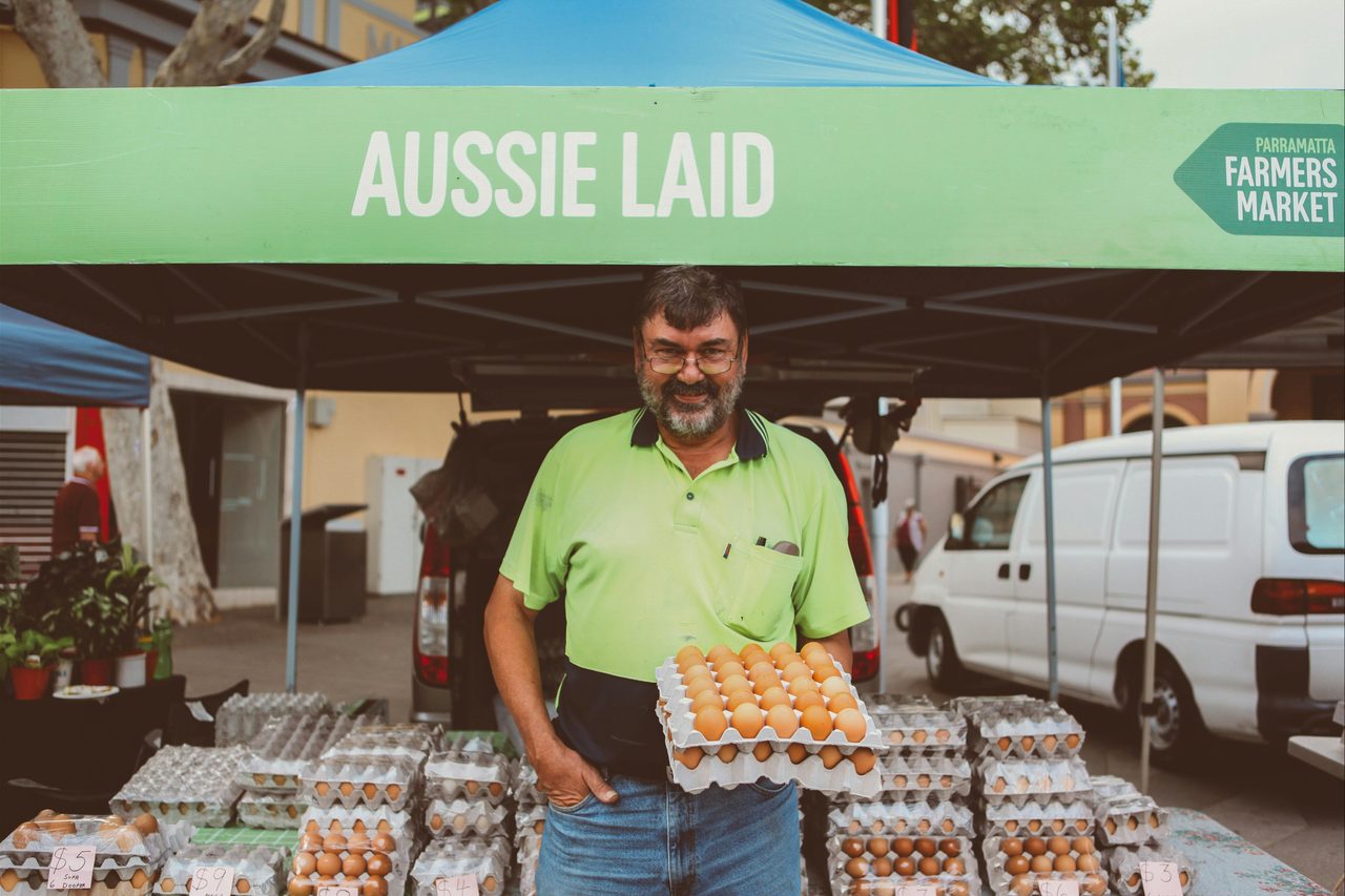 Farm fresh eggs