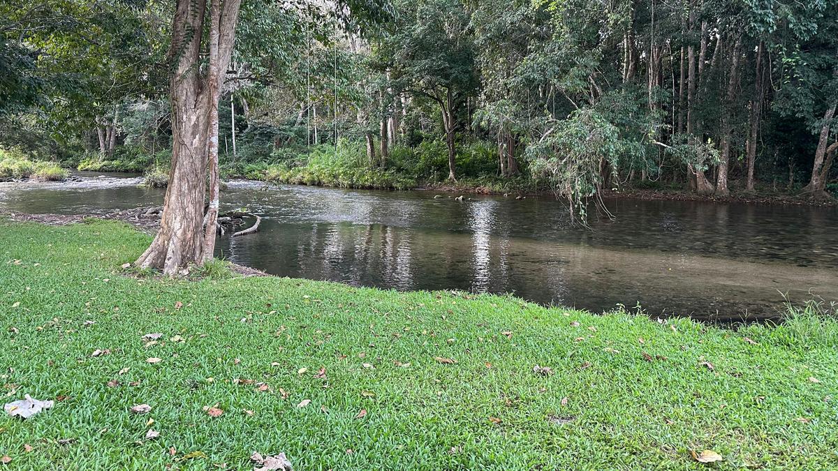 The River Ranch