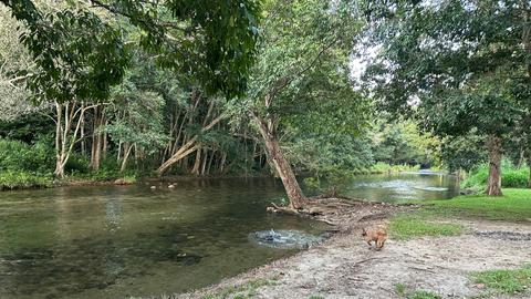 The River Ranch