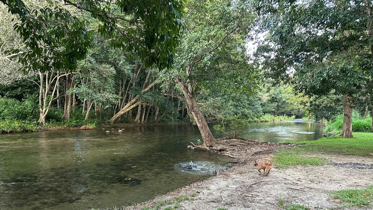 The River Ranch