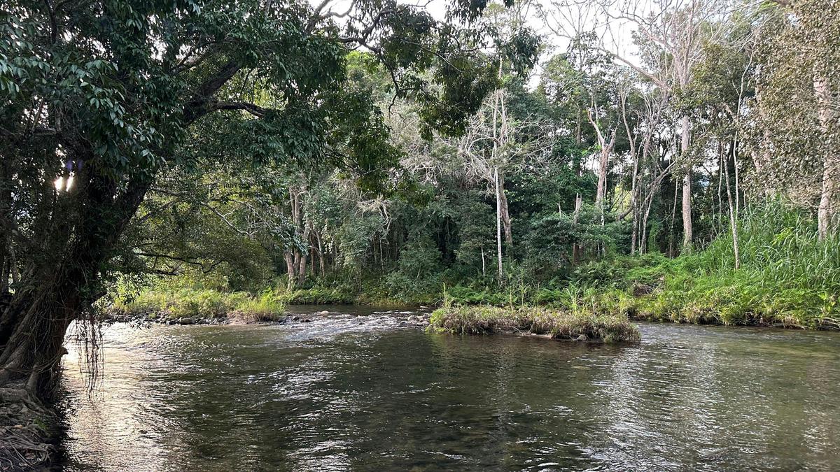 The River Ranch