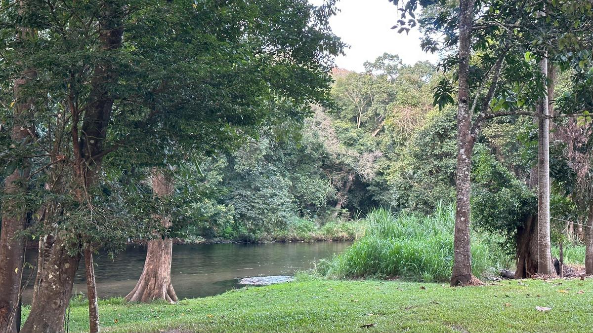 The River Ranch