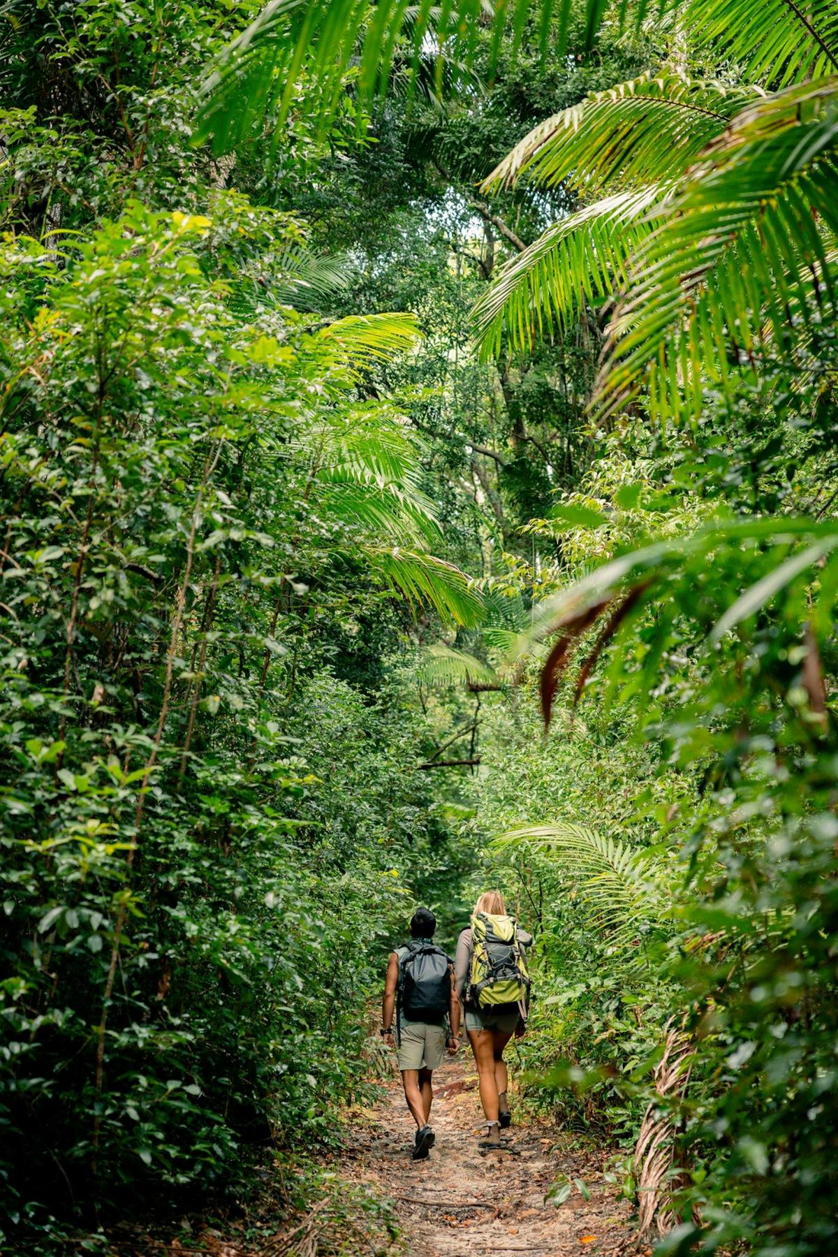 Hiking in the Toolara State Forest