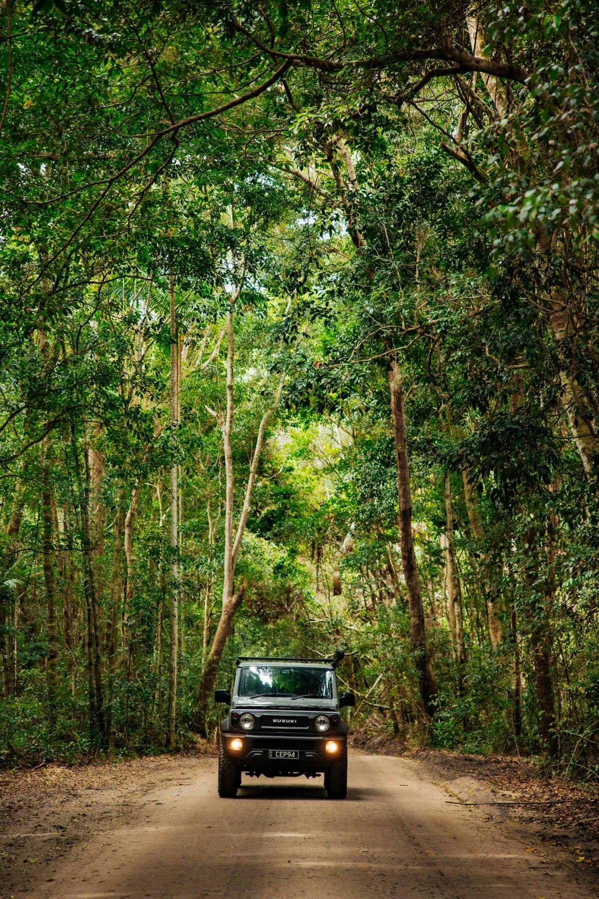 Car in the Toolara State Forest