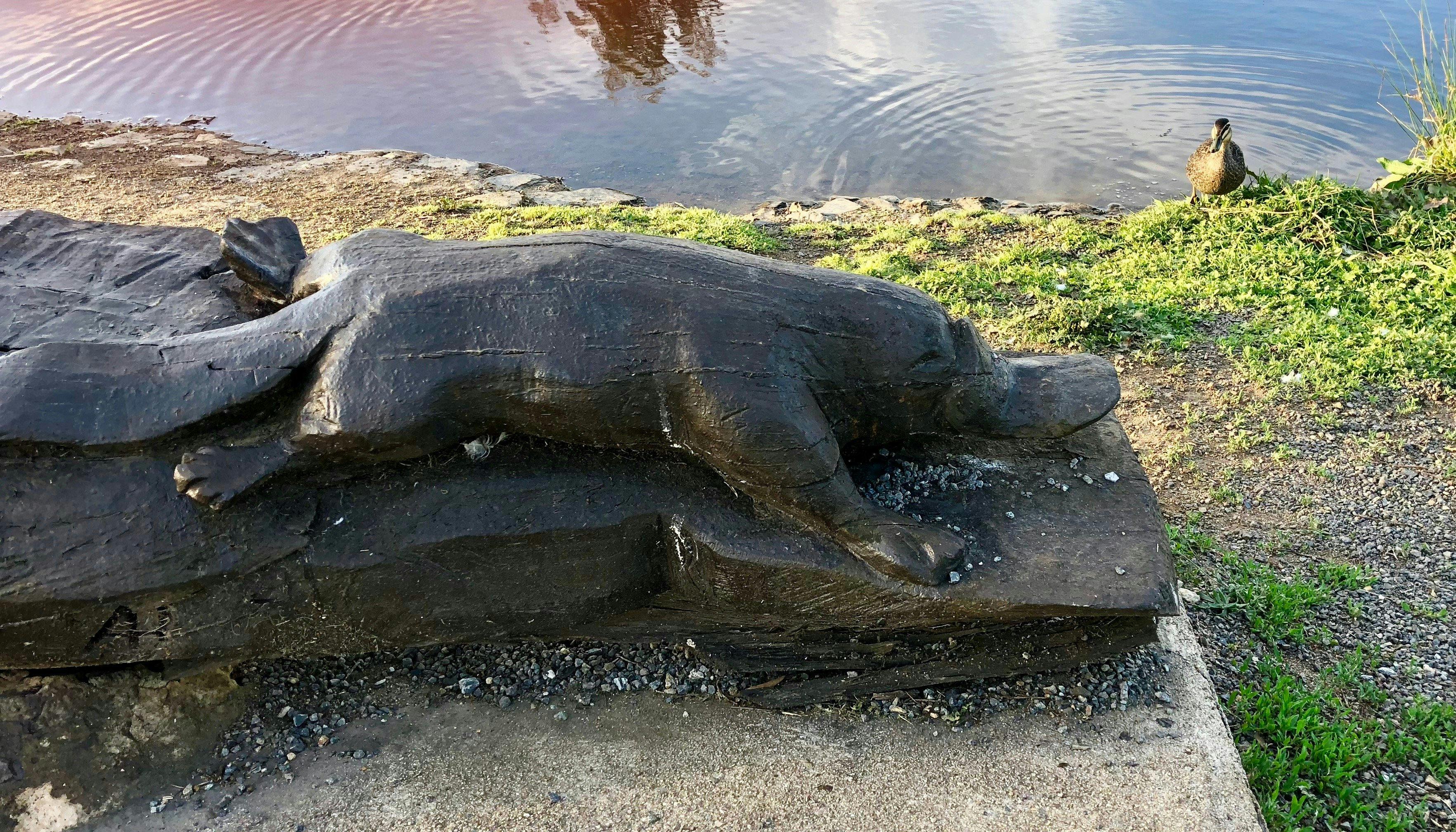 Sculpture at Kiamma Creek