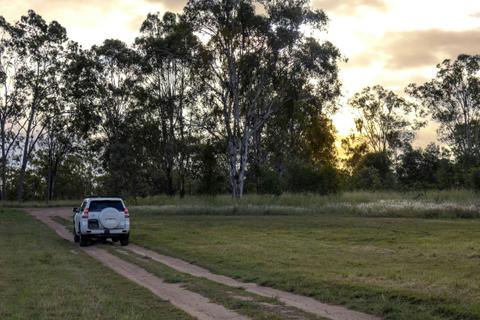 Wandering Wallaby Tours