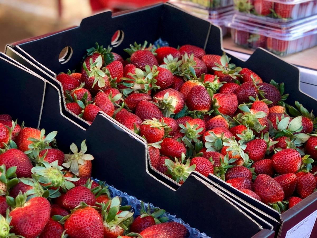Tamborine Mountain State School Markets