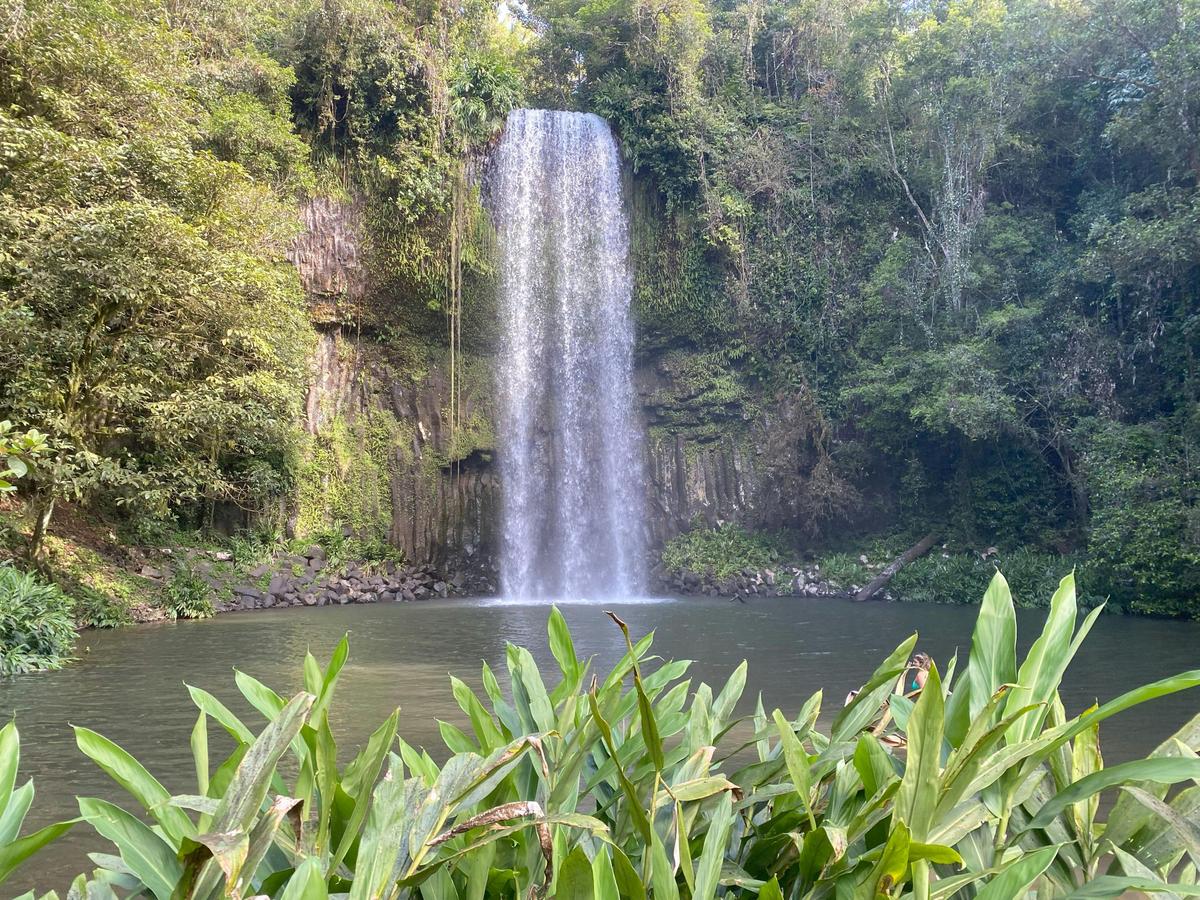 Taste of The Tablelands