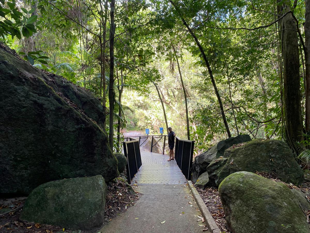 Cassowary Coast Goondoi Culture Experience
