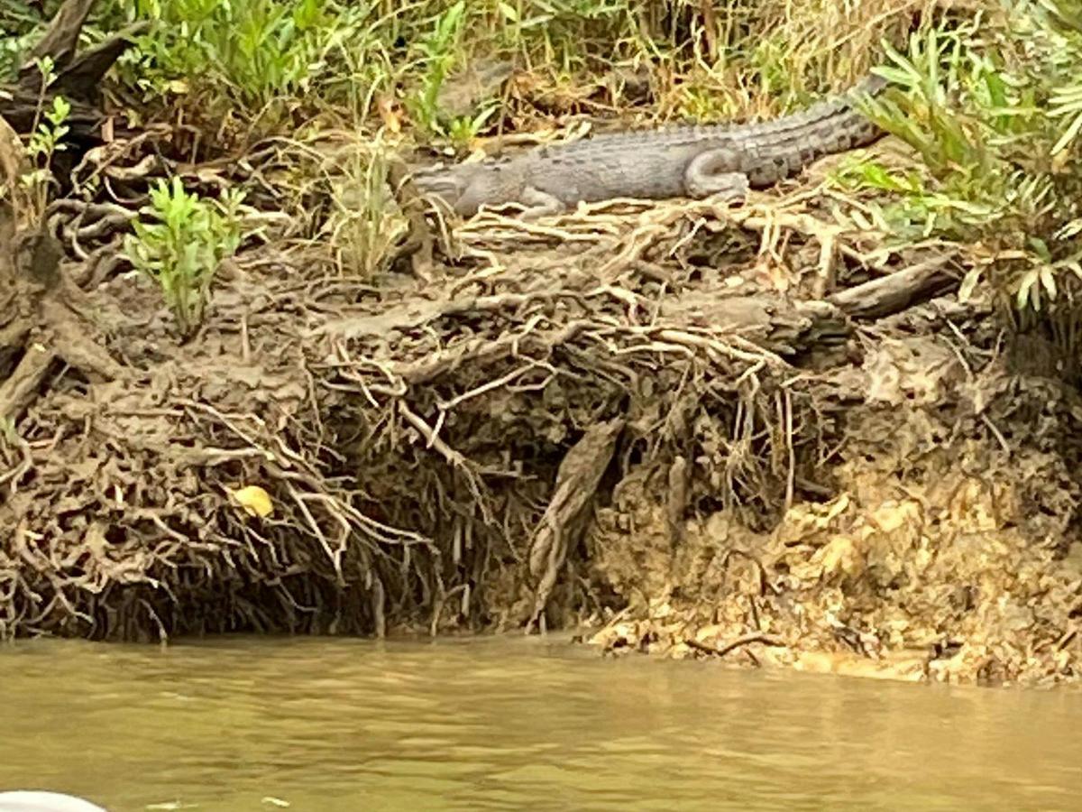 Mossman Gorge Daintree Experience