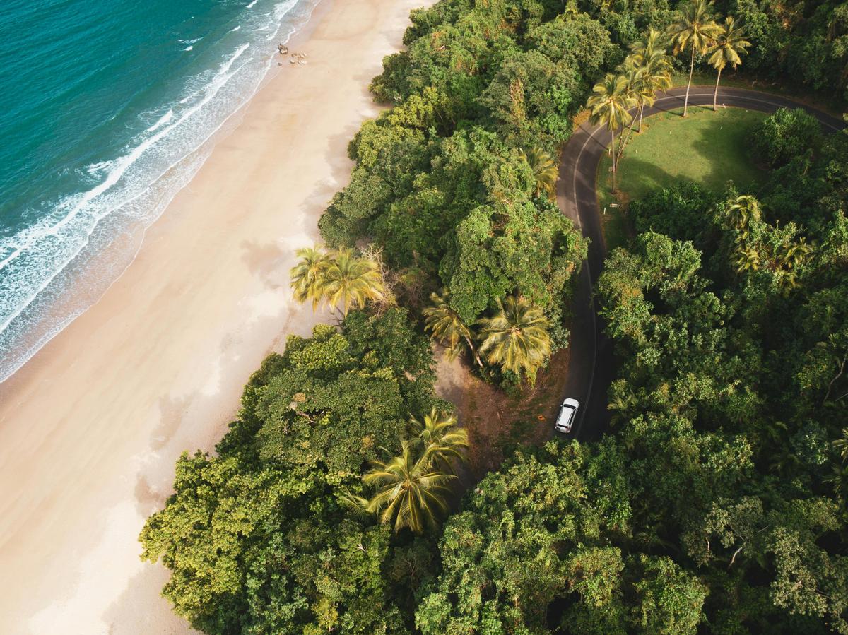Cassowary Coast Goondoi Culture Experience