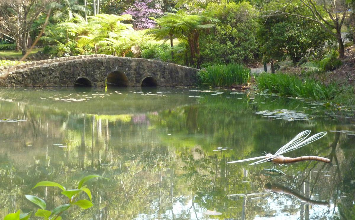 Stone bridge and dragon fly