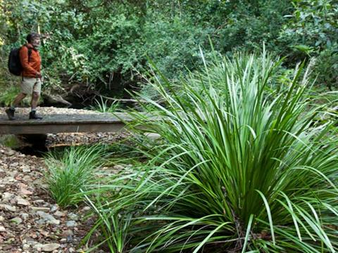 Ngambaa Nature Reserve