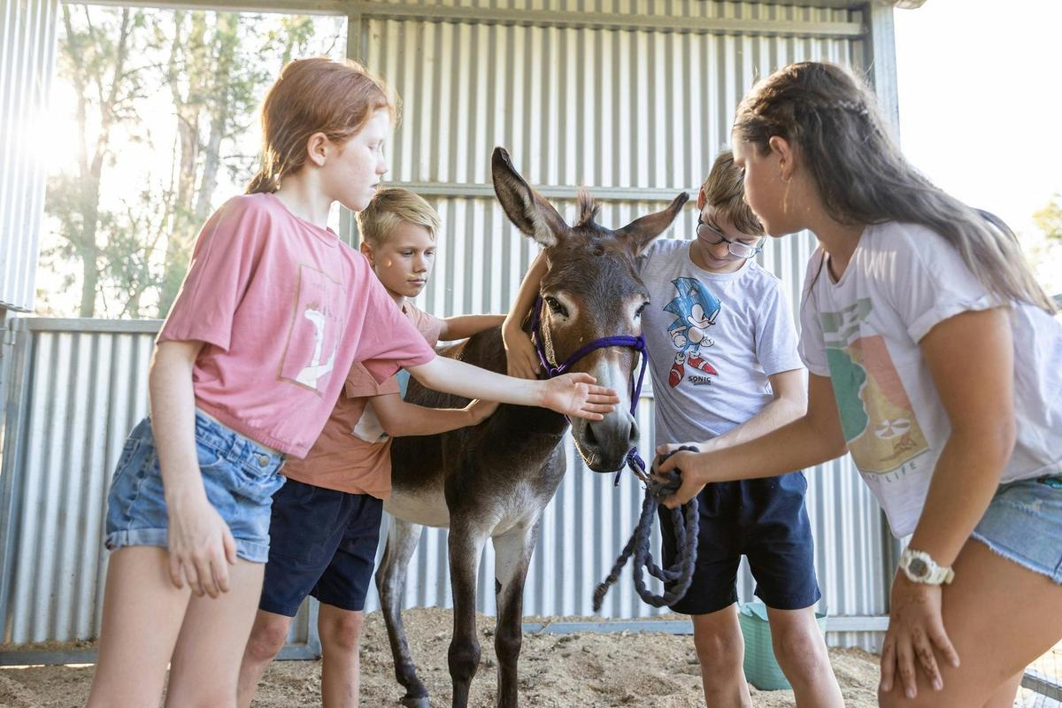 Enjoy time with each of the animals