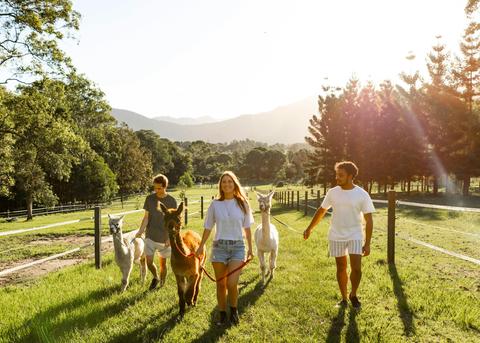 Trevena Glen Farm Tours