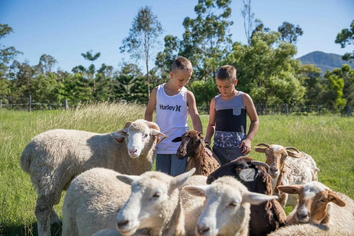 1, 2, 3hr Private Animal Tours