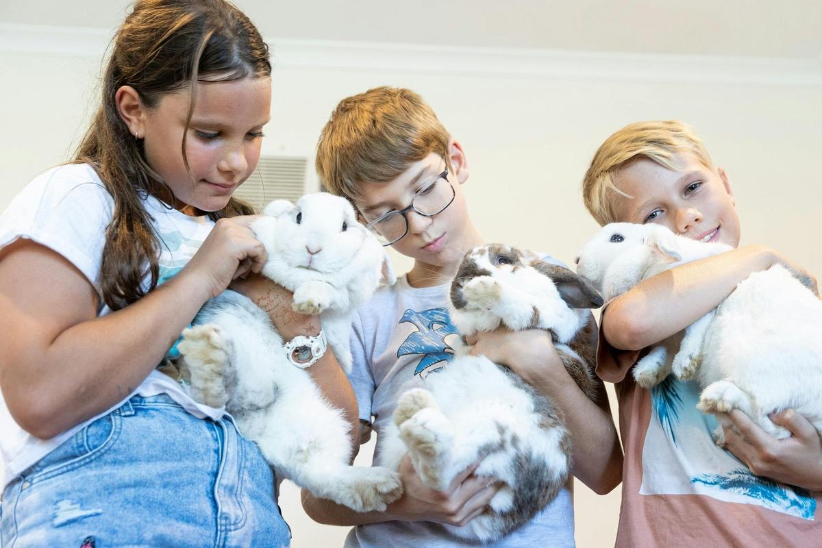 1, 2, 3hr Private Animal Tours