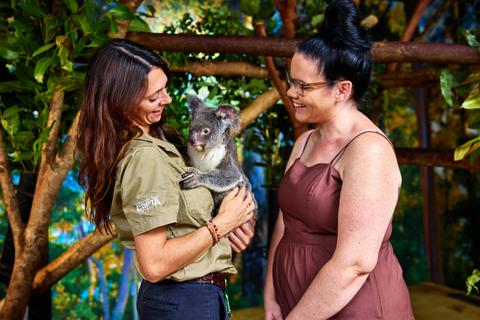 Cairns Koalas & Creatures and City Sights