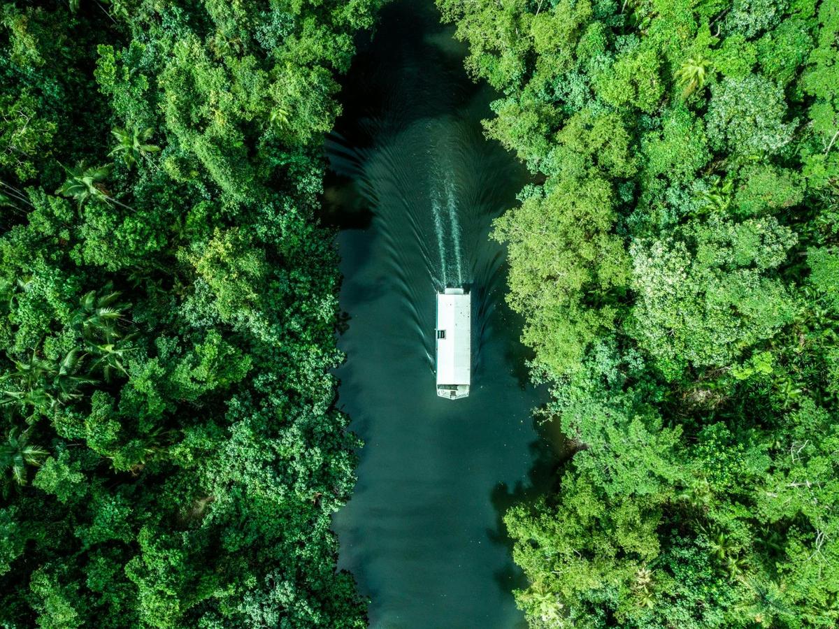 Daintree, Mossman Gorge and Wildlife