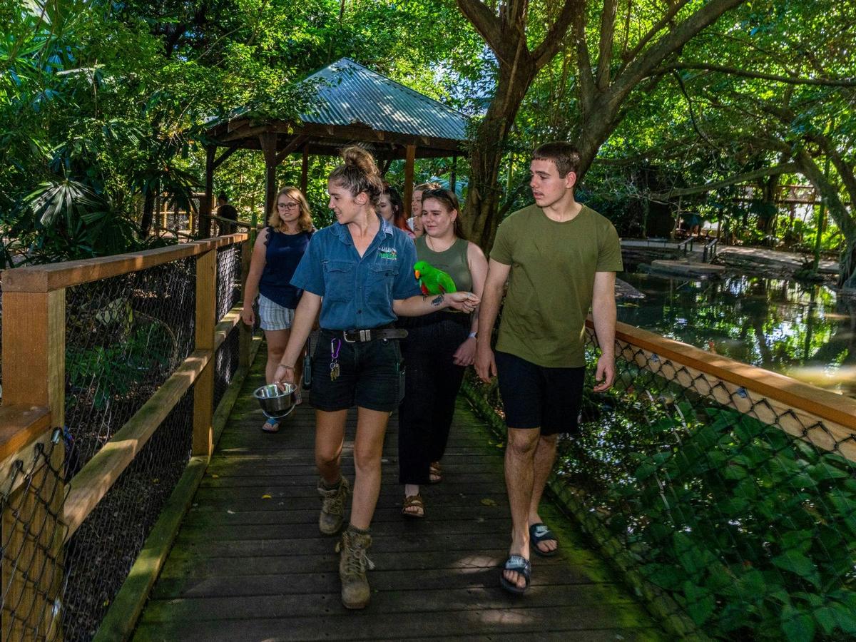 Daintree, Mossman Gorge and Wildlife