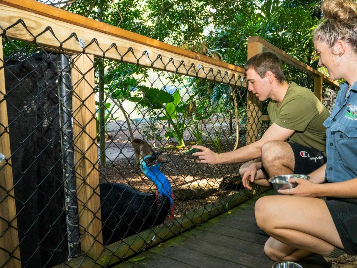 Daintree, Mossman Gorge and Wildlife