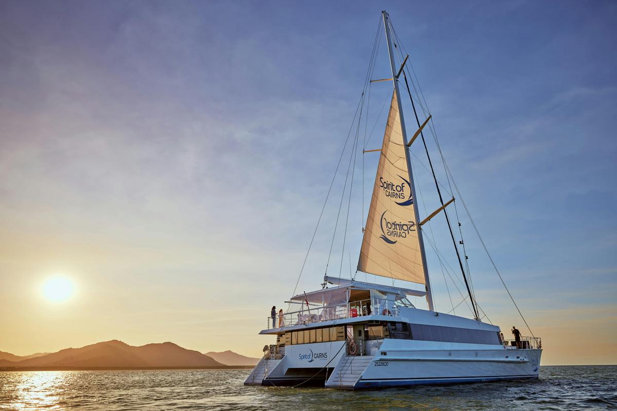 Cairns City Sights & Dinner Cruise