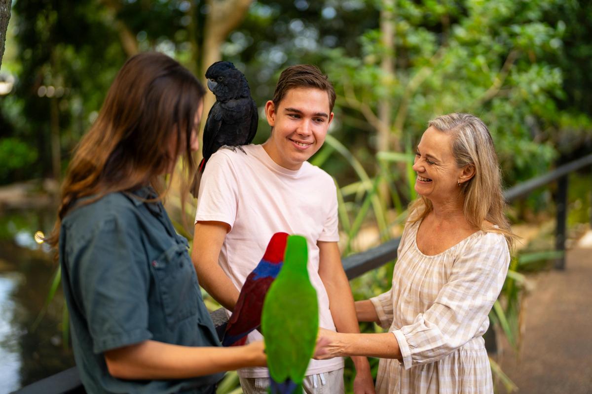 Private wildlife tour at Wildlife Habitat Port Douglas, Tropic Wings Cairns Tours & Charters