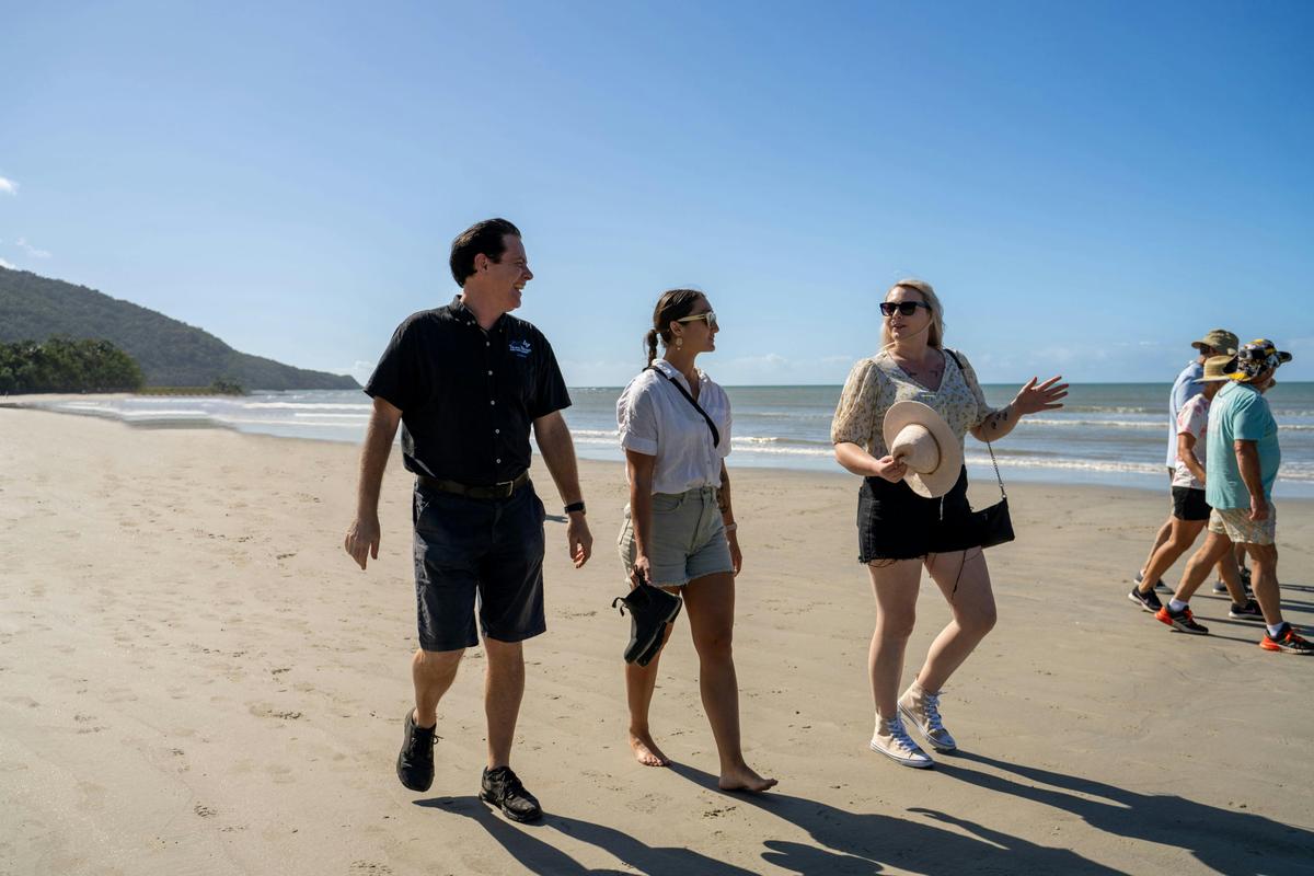 Guided walk at Cape Tribulation on the Daintree, Cape Tribulation and Wildlife day tour, Tropic Wing