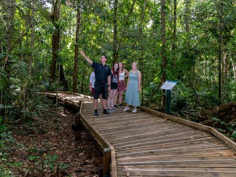 Cape Tribulation, Daintree and Wildlife Eco Experience