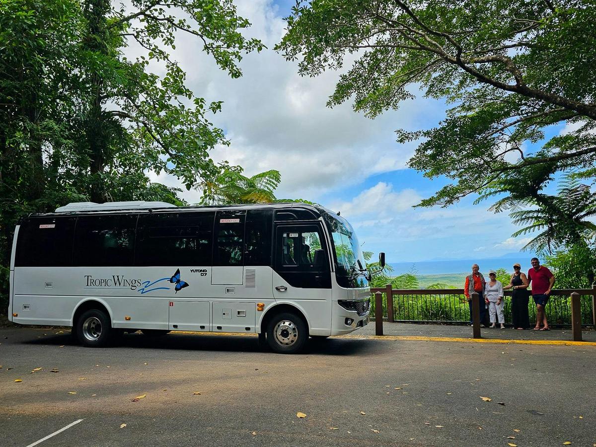 Cape Tribulation, Daintree and Wildlife Eco Experience