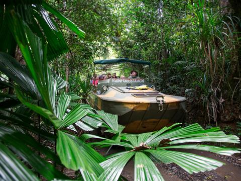 Grand Kuranda Experience with Kuranda Scenic Rail and Skyrail Rainforest Cableway
