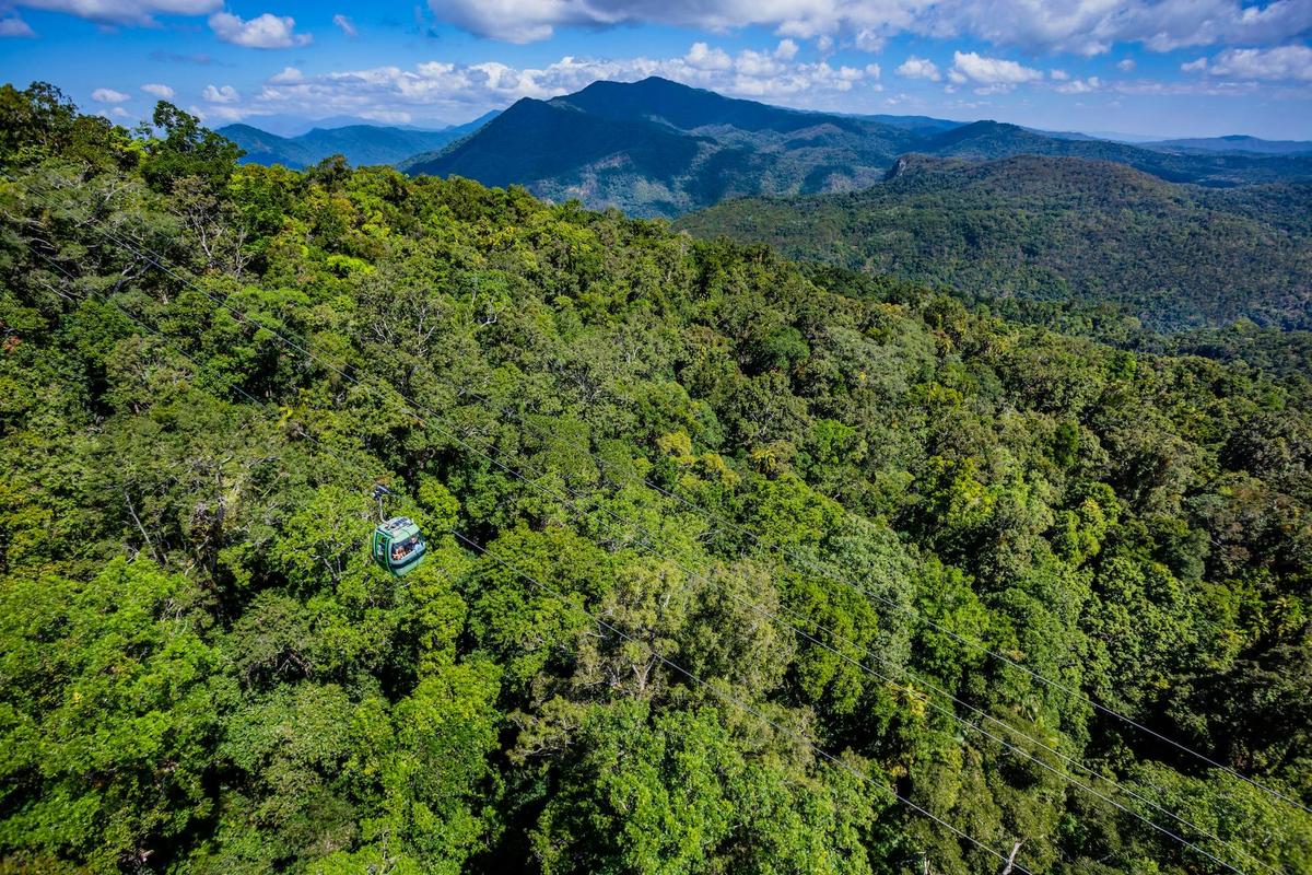 Classic Kuranda With Kuranda Scenic Rail and Skyrail Rainforest Cableway