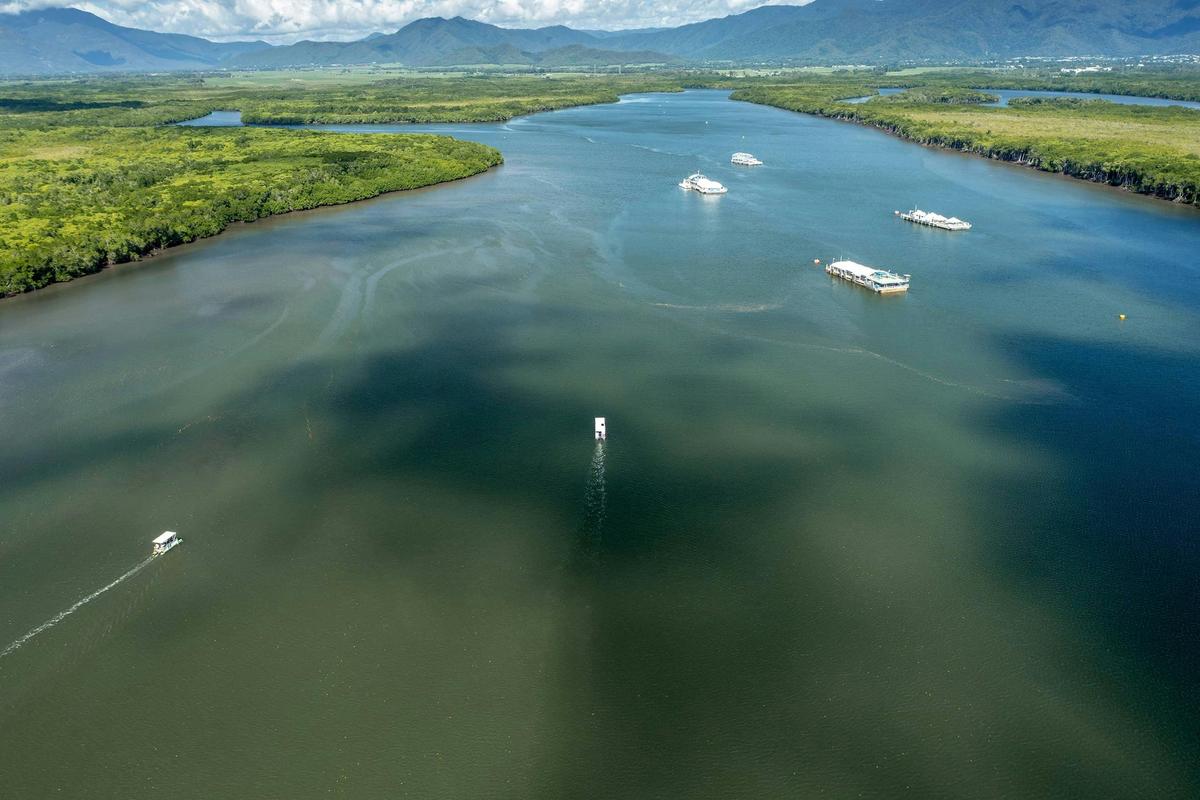 Cairns River Cruise & City Sights