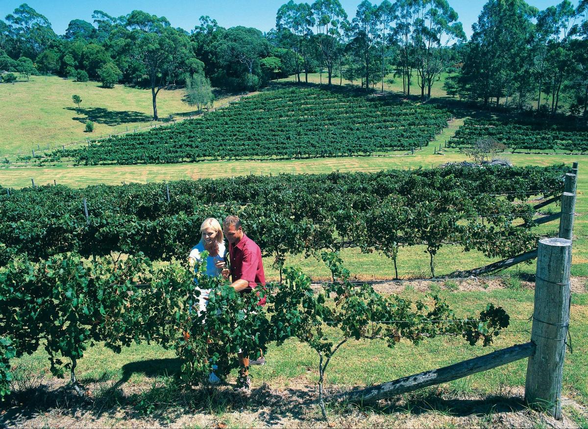 Tamborine Mountain