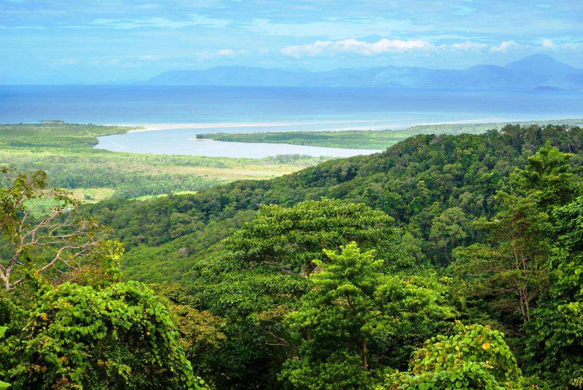Uncle Brian's - Cape Tribulation