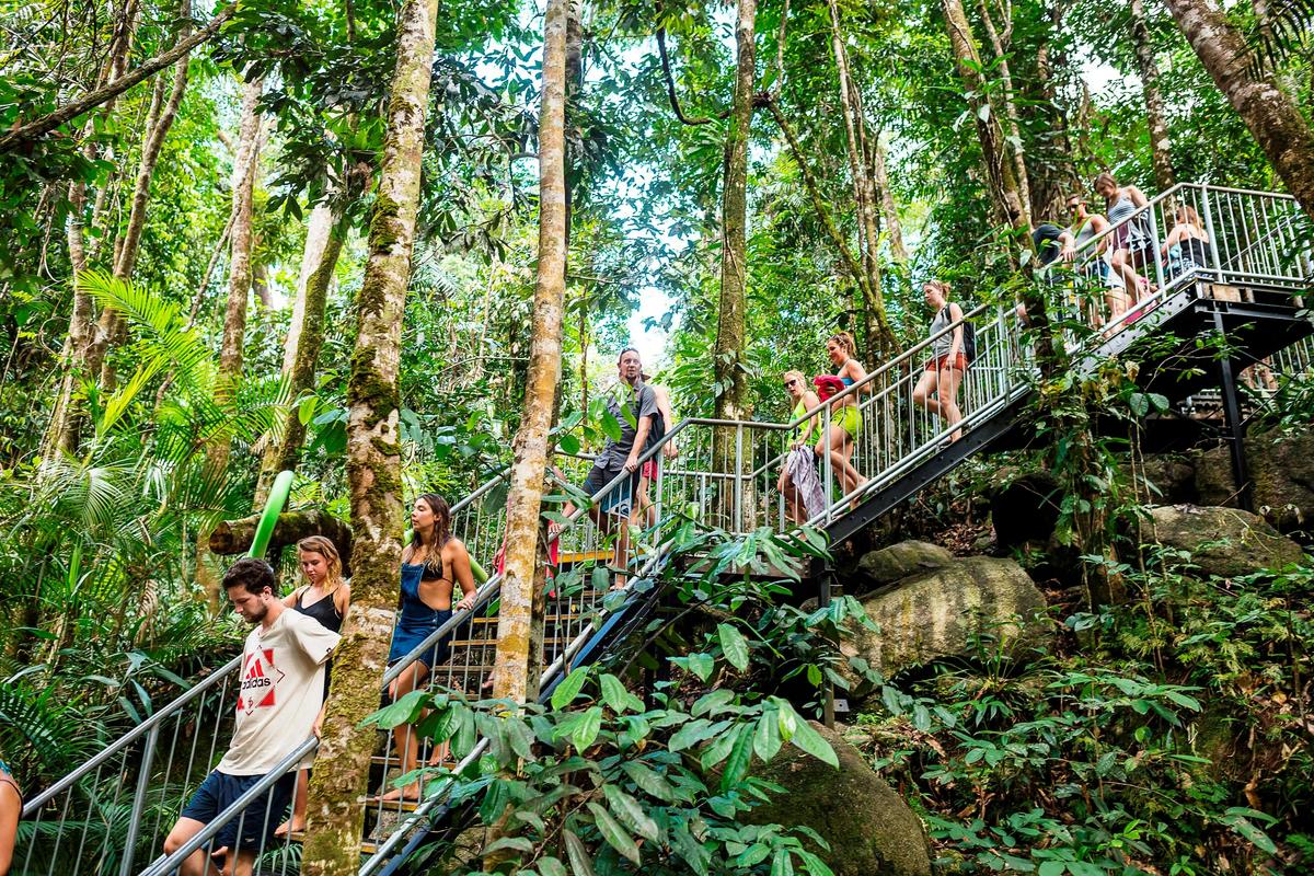 Uncle Brian's - Fun Falls and Forest Tour