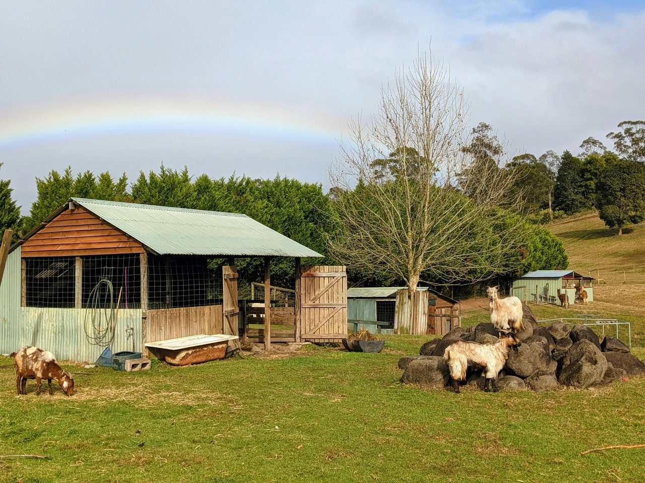 Rainbow crossing the sanctuary during autumn
