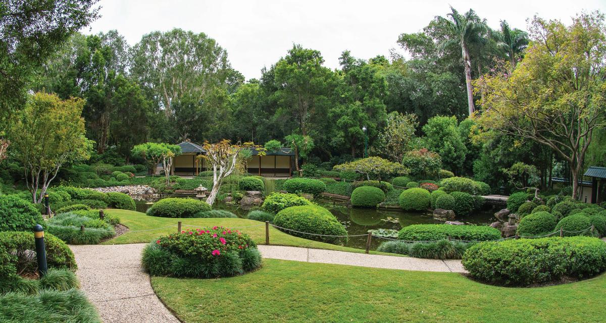 Brisbane Botanical Gardens Mt Coot-tha