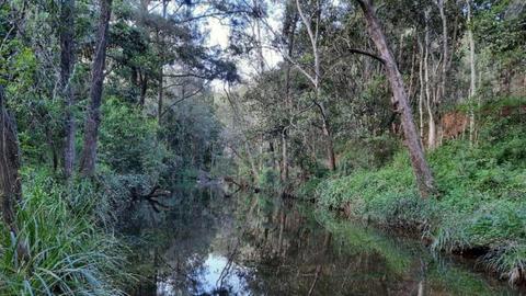 Tyamolum Scout Campsite