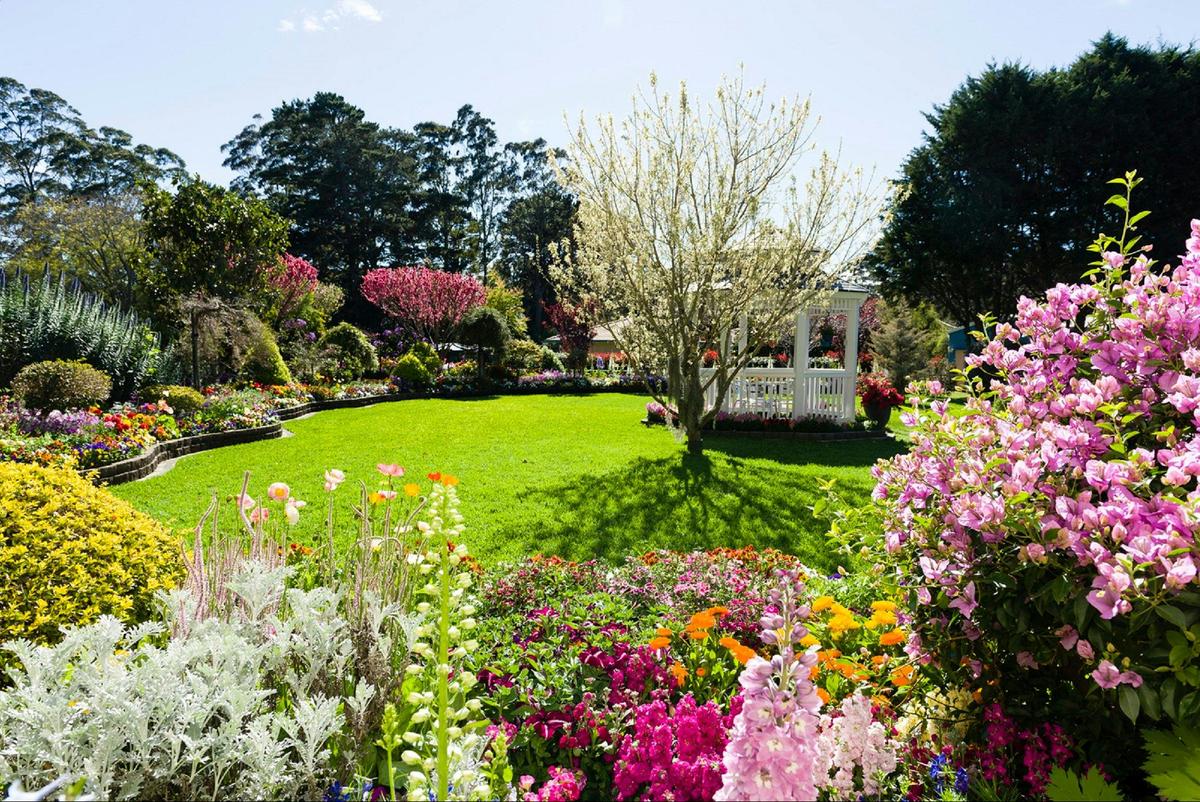 Private garden, Toowoomba
