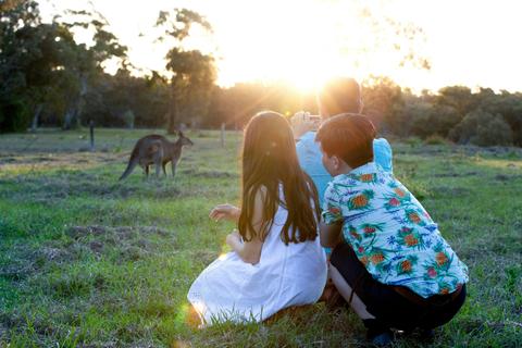 Toorbul