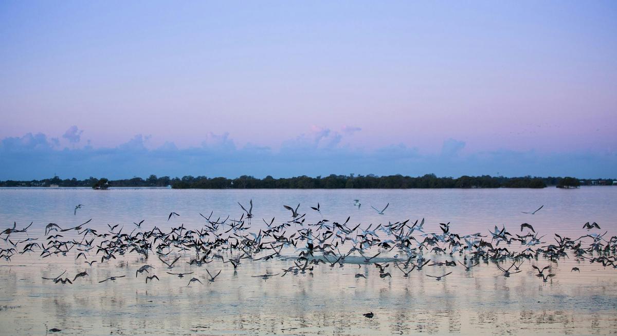 Toorbul Beach Sunset over Toorbul Bird Roost