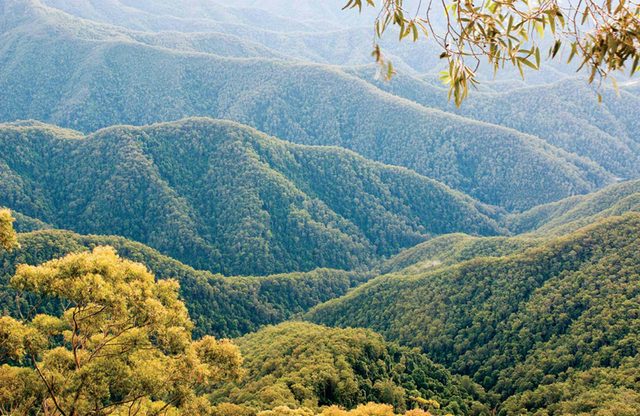 Point Lookout Walking Track