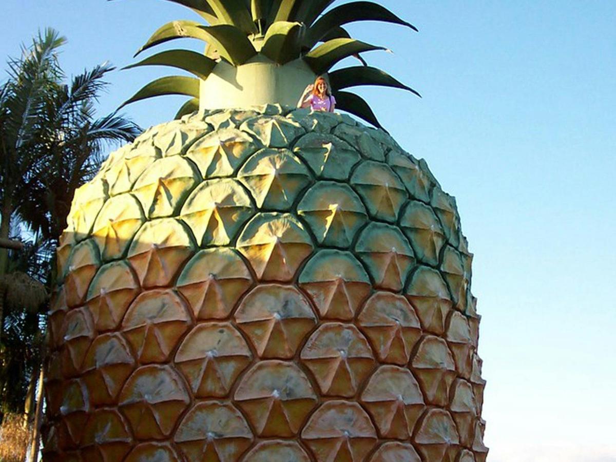 Big Pineapple